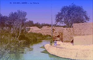 SIDI BEL ABBES 173